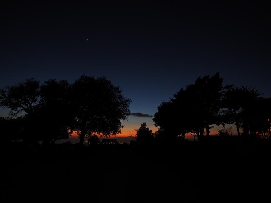 Night landscape with a view of the forest