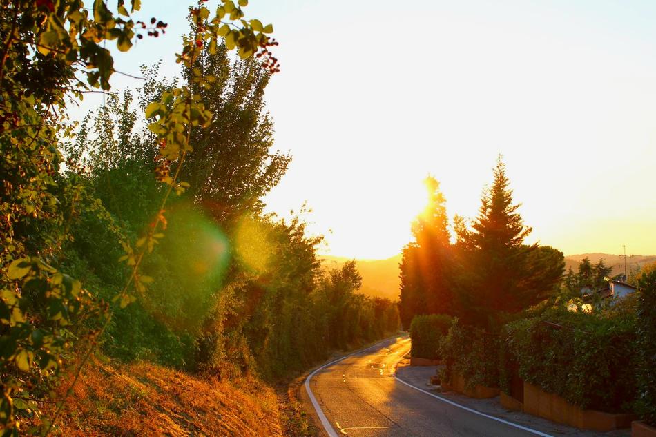 Sunset Bologna Nature