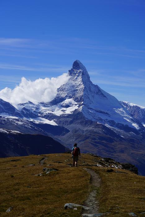 Matterhorn Mountain Meadow