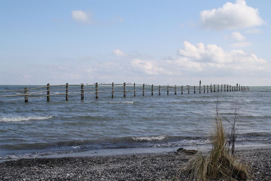 Waters Sea Beach