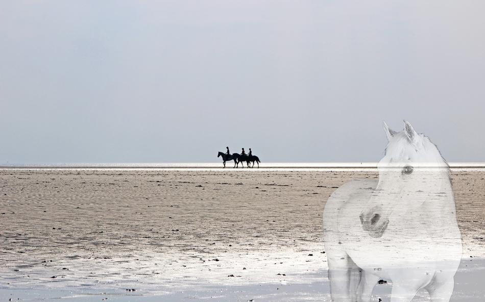 North Sea Watts Beach Horseback