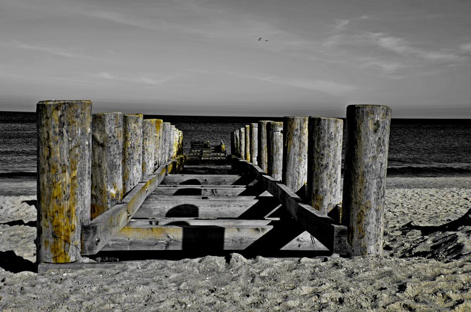 Baltic Sea Web