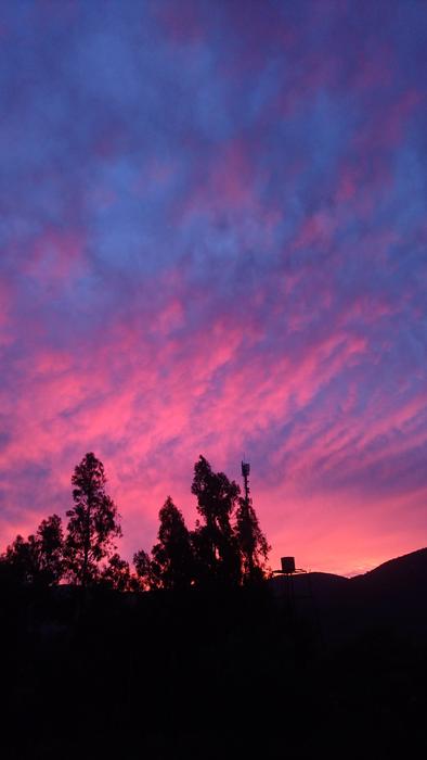 purple and pink Sunrays Sunrise
