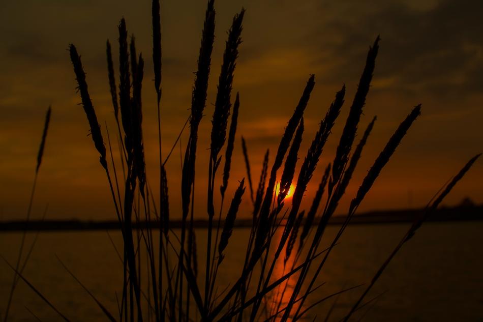 Sun Sonnenschei Sunset