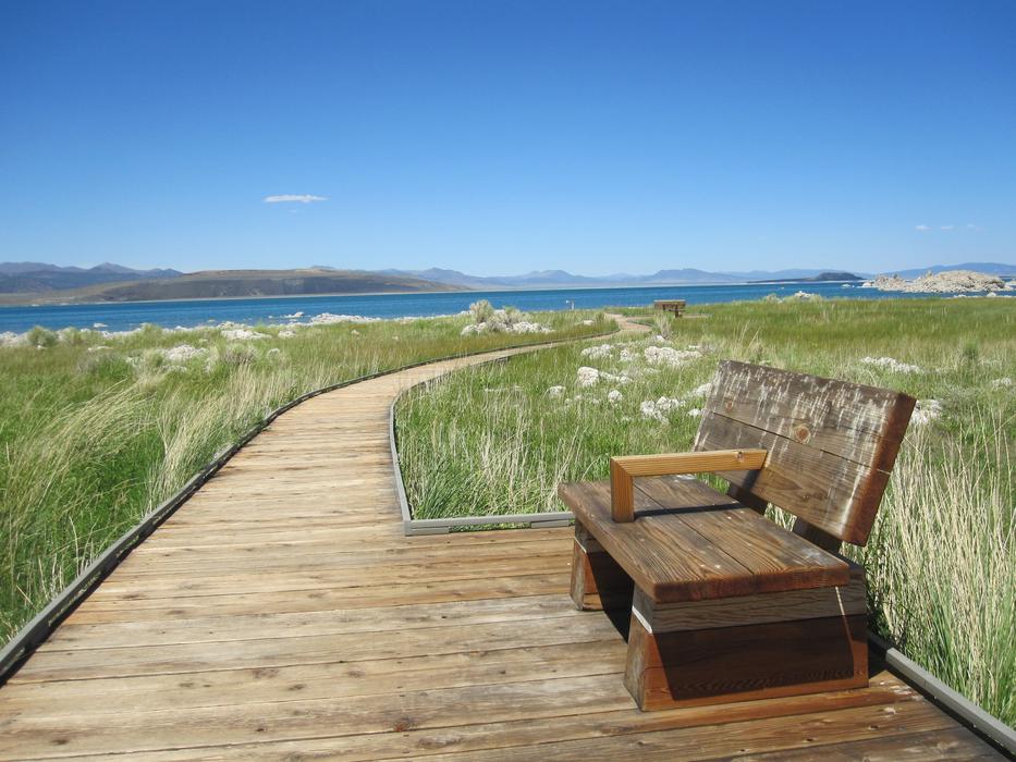 Bench on Boardwalk