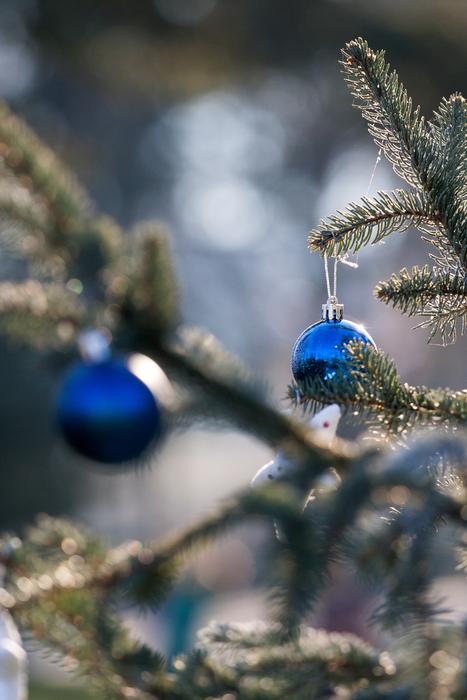 Ornament Christmas Ornamentation