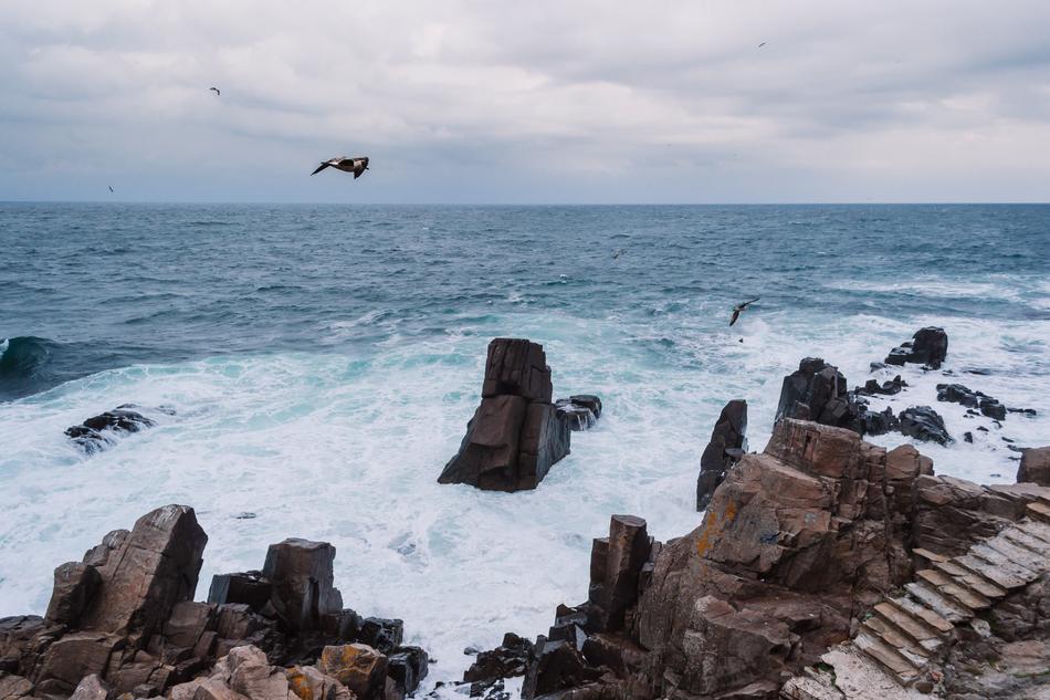 Nature Black Sea