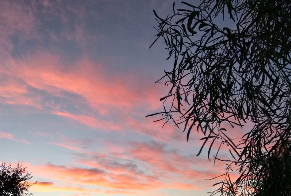 Background Sunset Pink