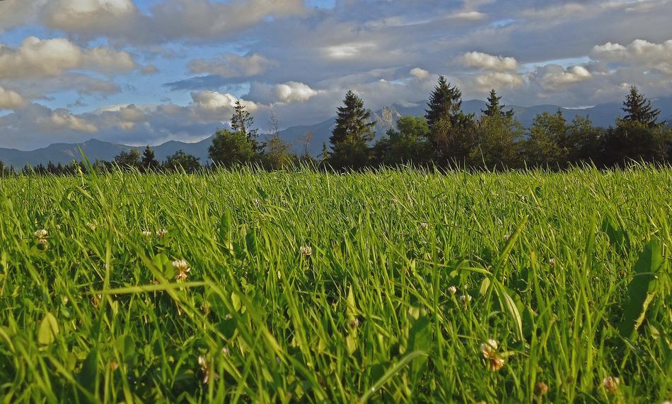 Poland Podhale Tatry PogÃ³rze