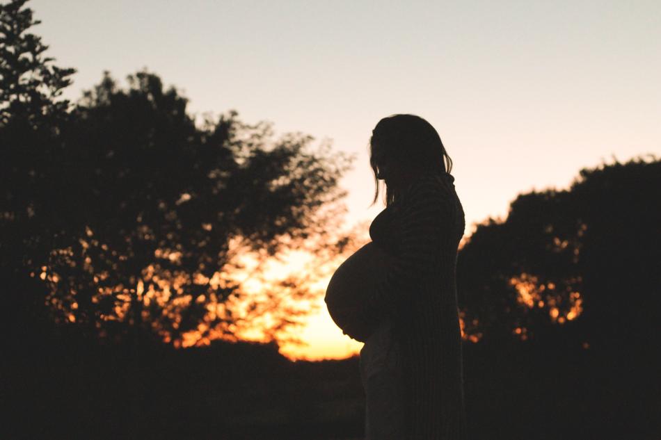 Pregnant Sunset Trees