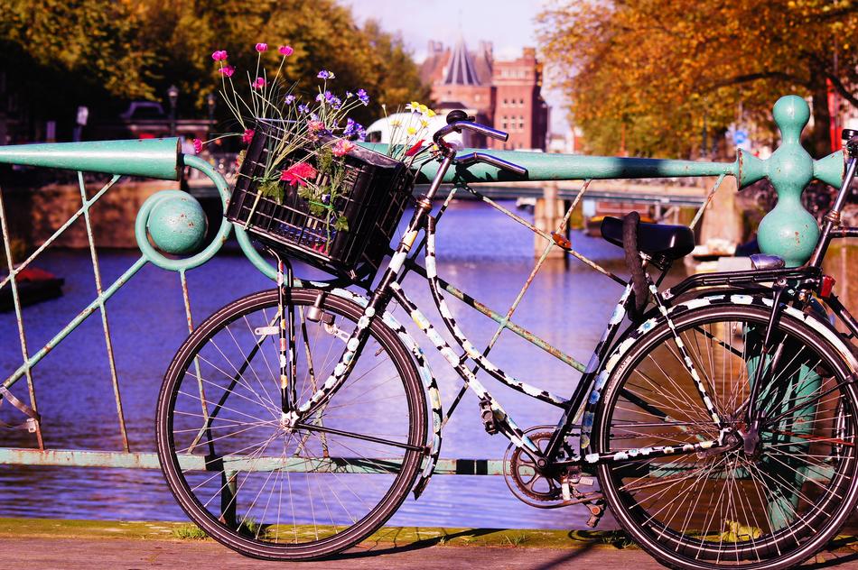 Bike Flowers Locomotion