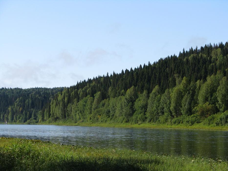 The Vishera River Blue Sky Forest