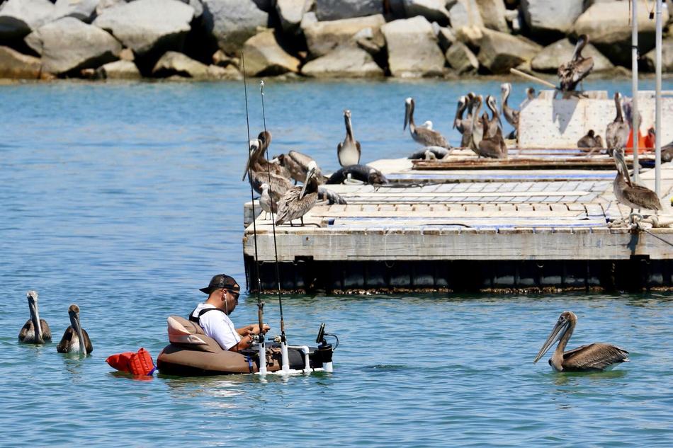 Fisherman floating in harbour