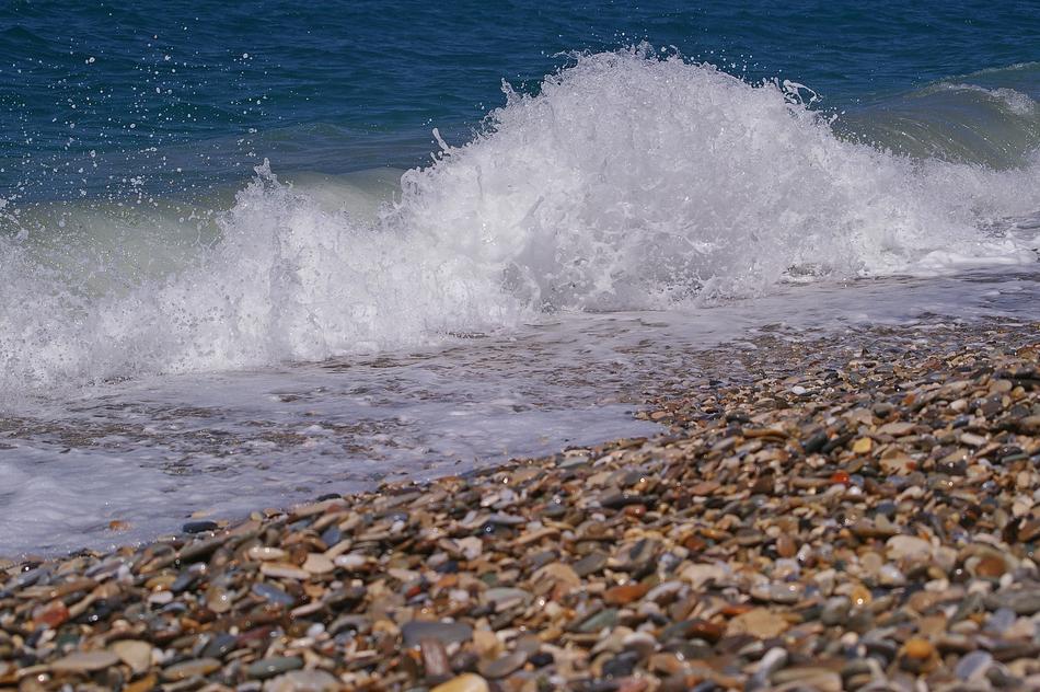 Wave Surf photo