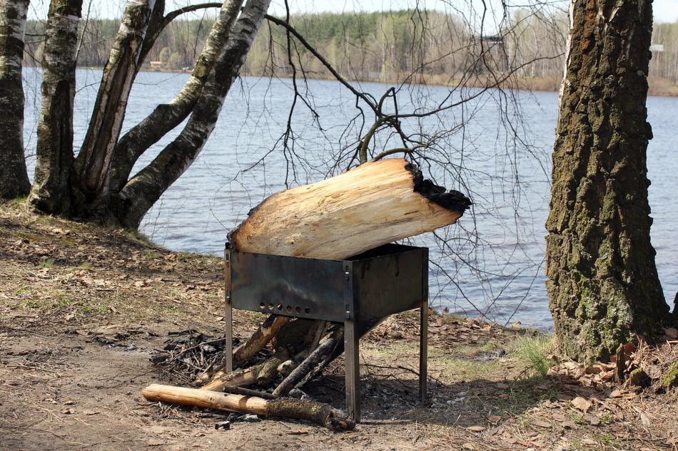 Vacation Firewood mangal in Forest