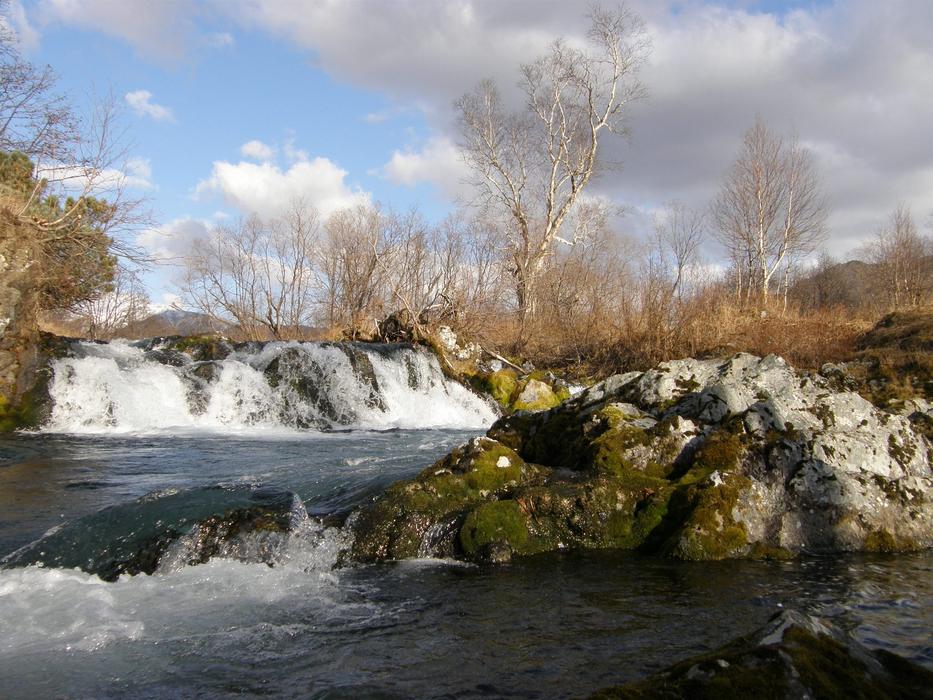 rocks with moss in the river