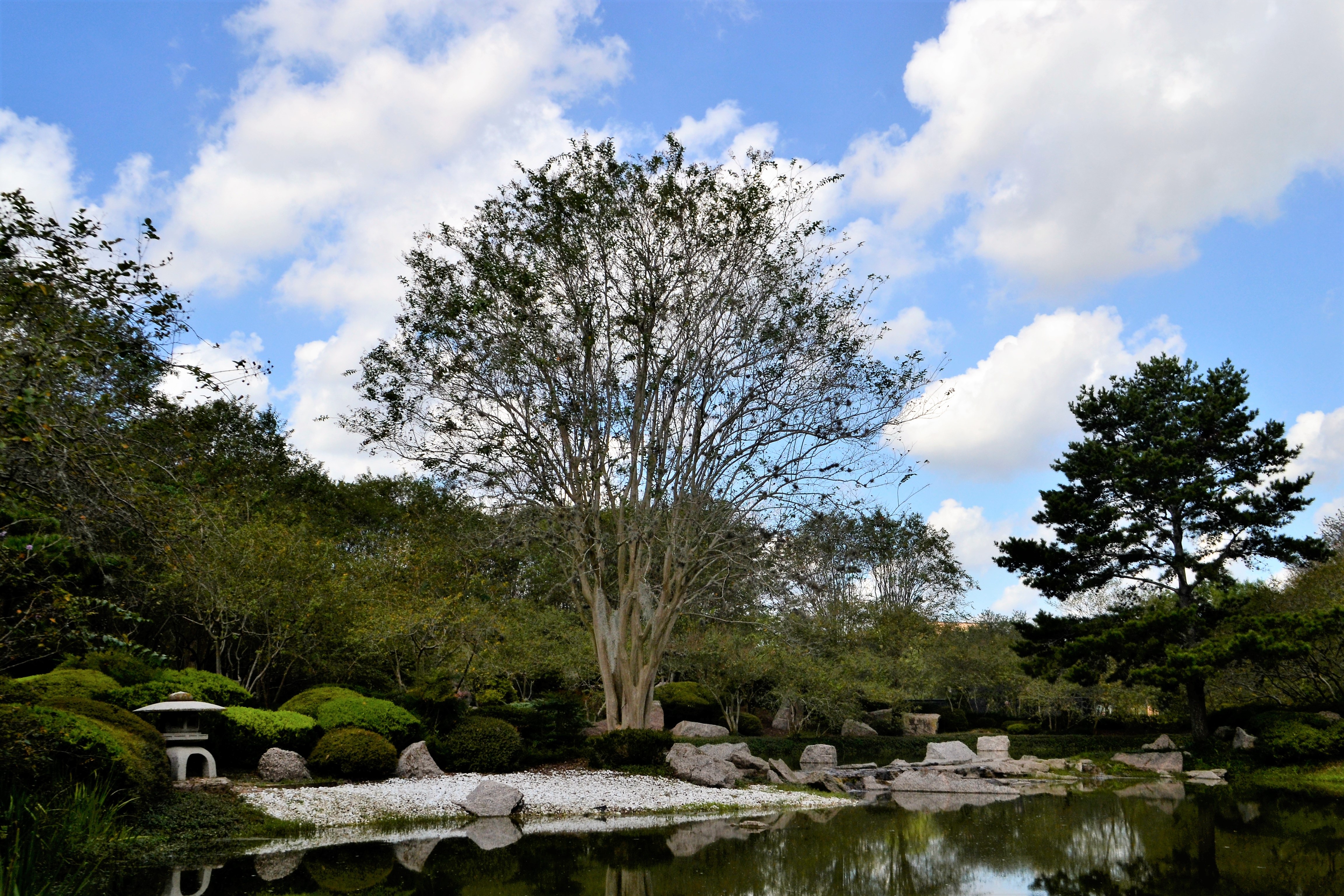 File size: 3.81Mb, Japanese Garden in Houston Texas picture with tags: hous...