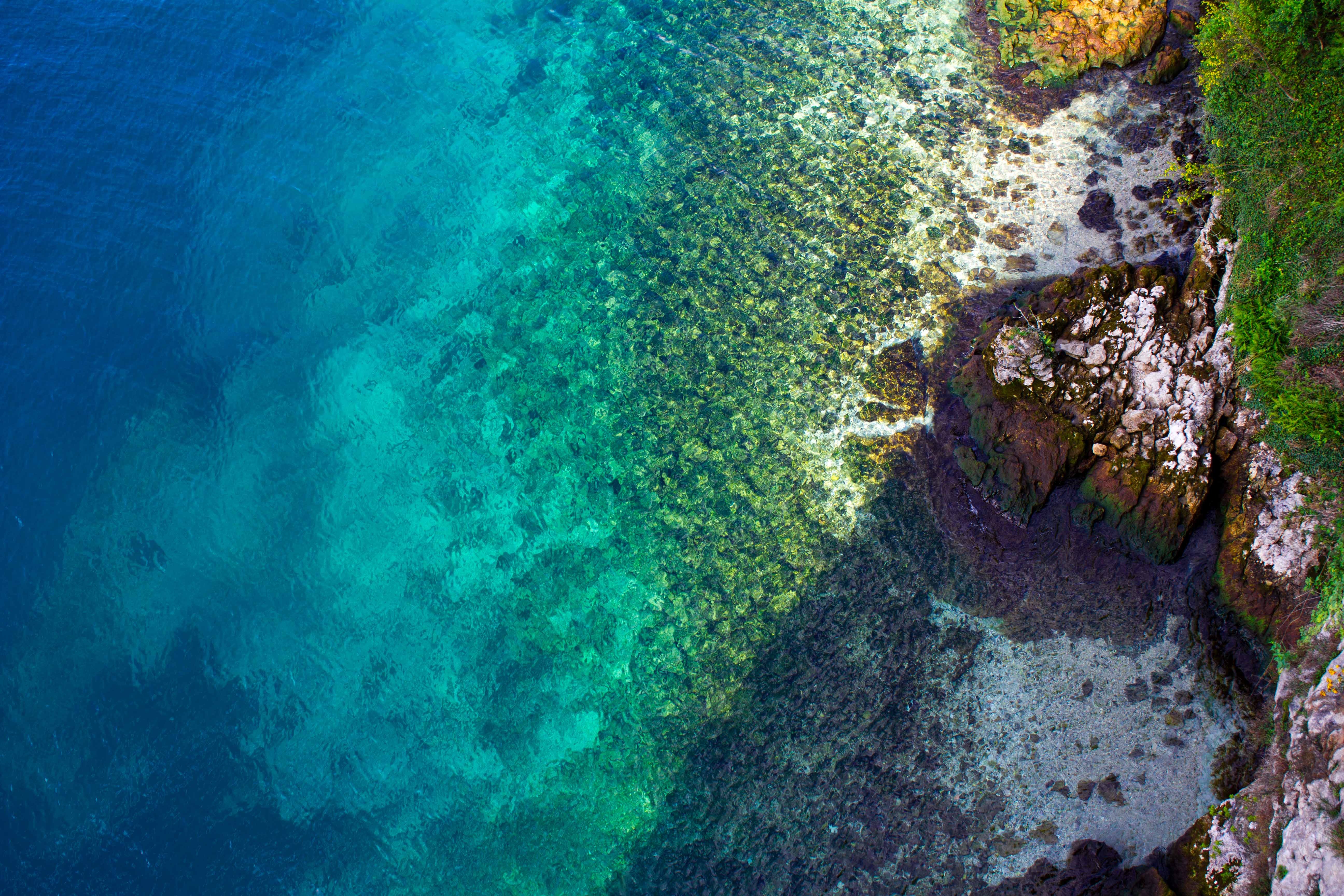 Crystal Clear Sea