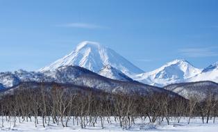 snow forest mountain view