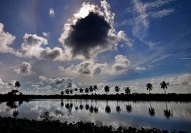 clouds trees view beautifully