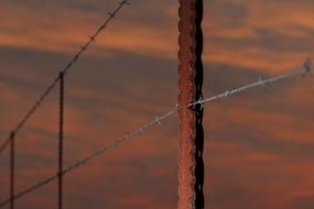 barbed wire fence at sunset