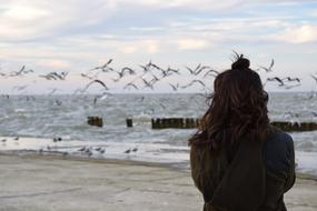 Girl with flying seagulls in the background