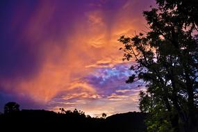 sunset by the trees