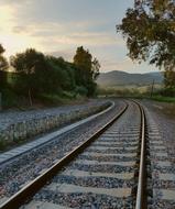 rails trees view beautifully