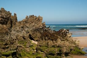 big rock with trees by the sea