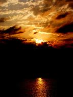 sunset against the background of a silhouette of trees