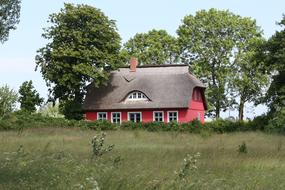 red farmhouse in the meadow