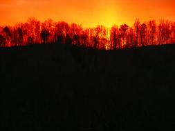 Sunrise Nature Morning