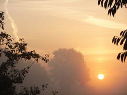 Sunset Fog Foggy