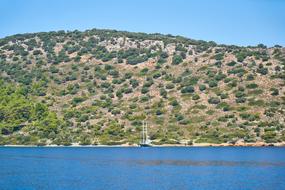 big mountain with trees by the sea