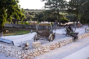 horse cart in the countryside