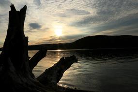 trees logs sea mountains mountains silhouette