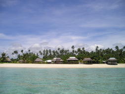 Palm Trees Beach Beautiful