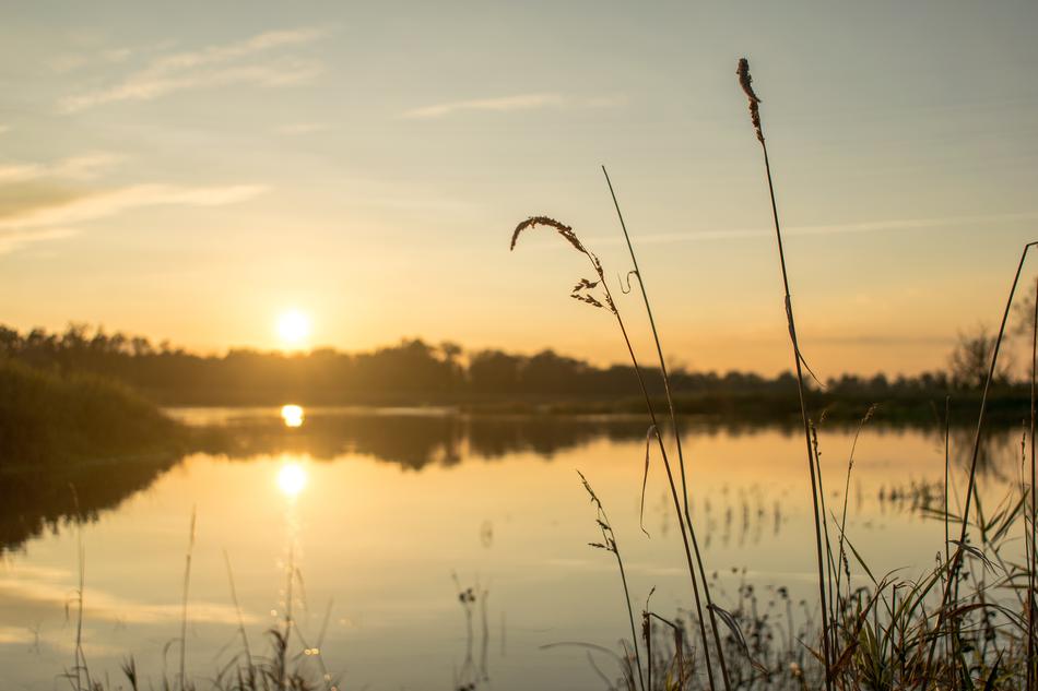 River West The Sun