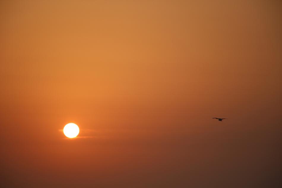 Sunset Sun Dusk