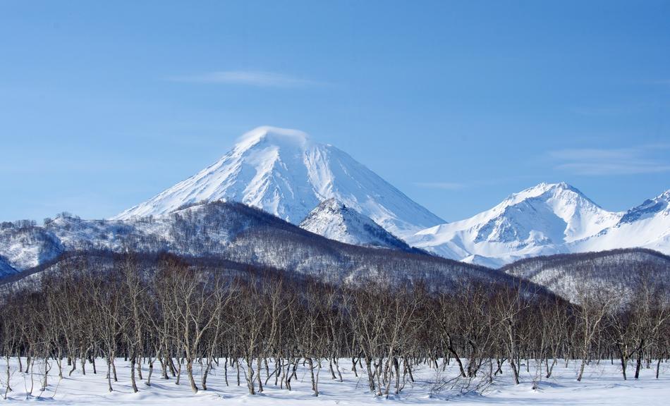 snow forest mountain view