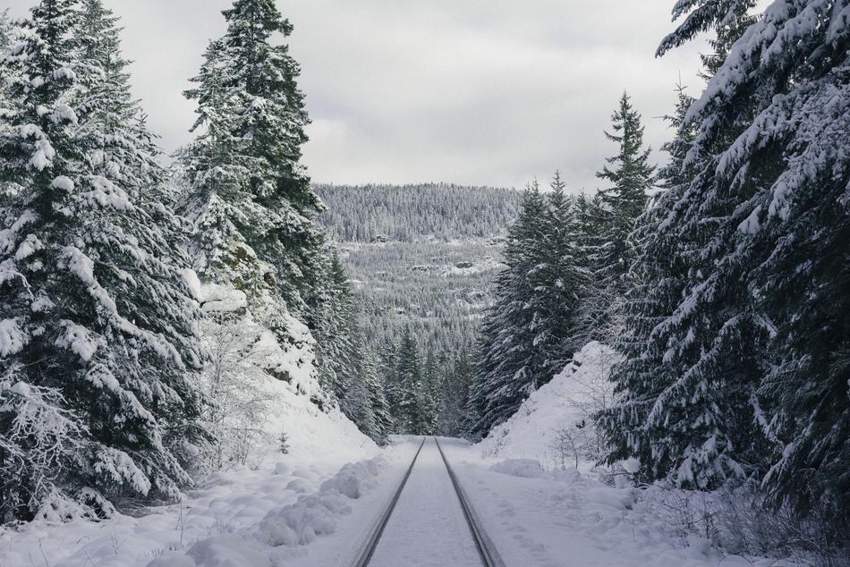 snow frost trees view