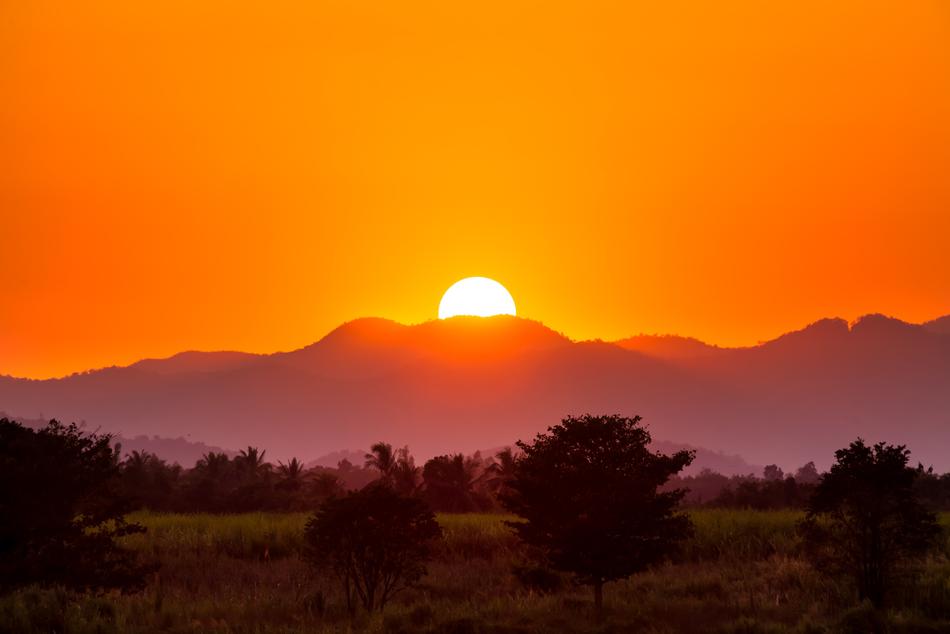 beautiful sunny landscape view