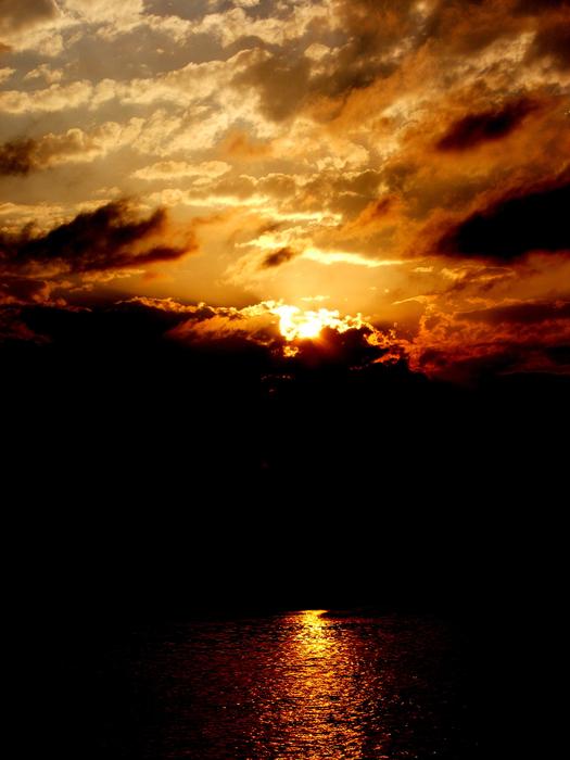 sunset against the background of a silhouette of trees