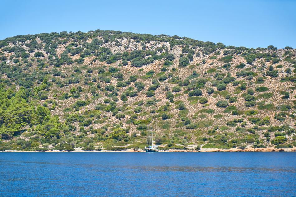 big mountain with trees by the sea