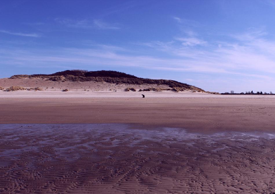 lonely silhouette of a man on a sea beach