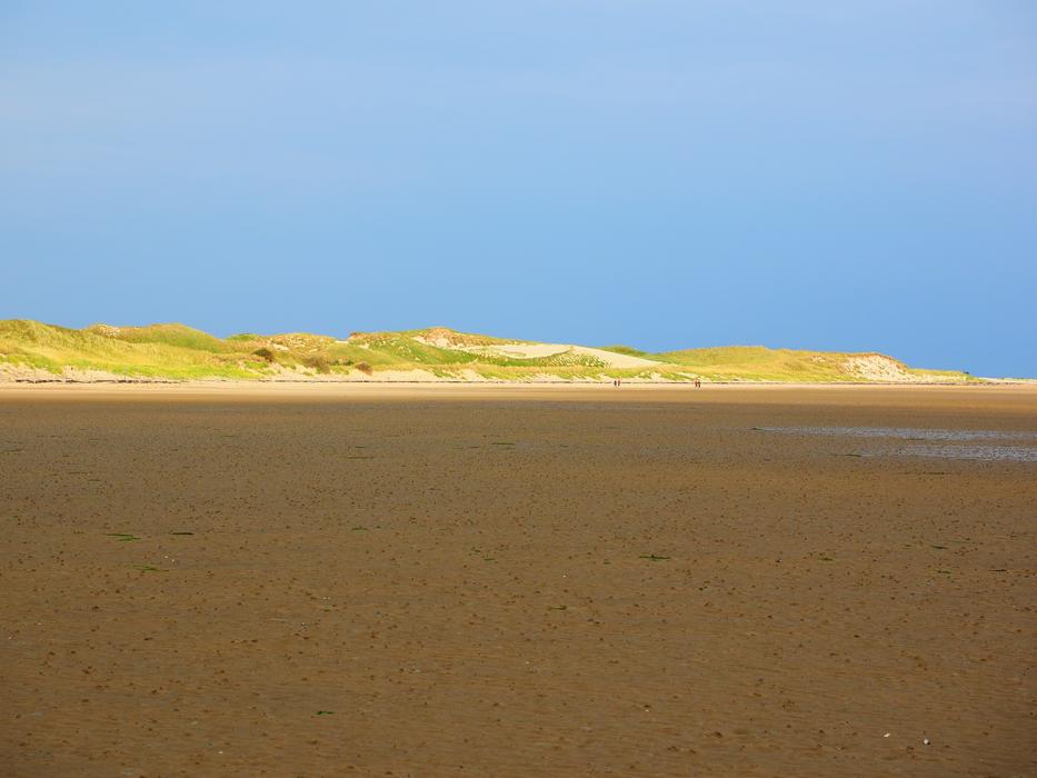 Watts Wadden Sea Dunes Dune