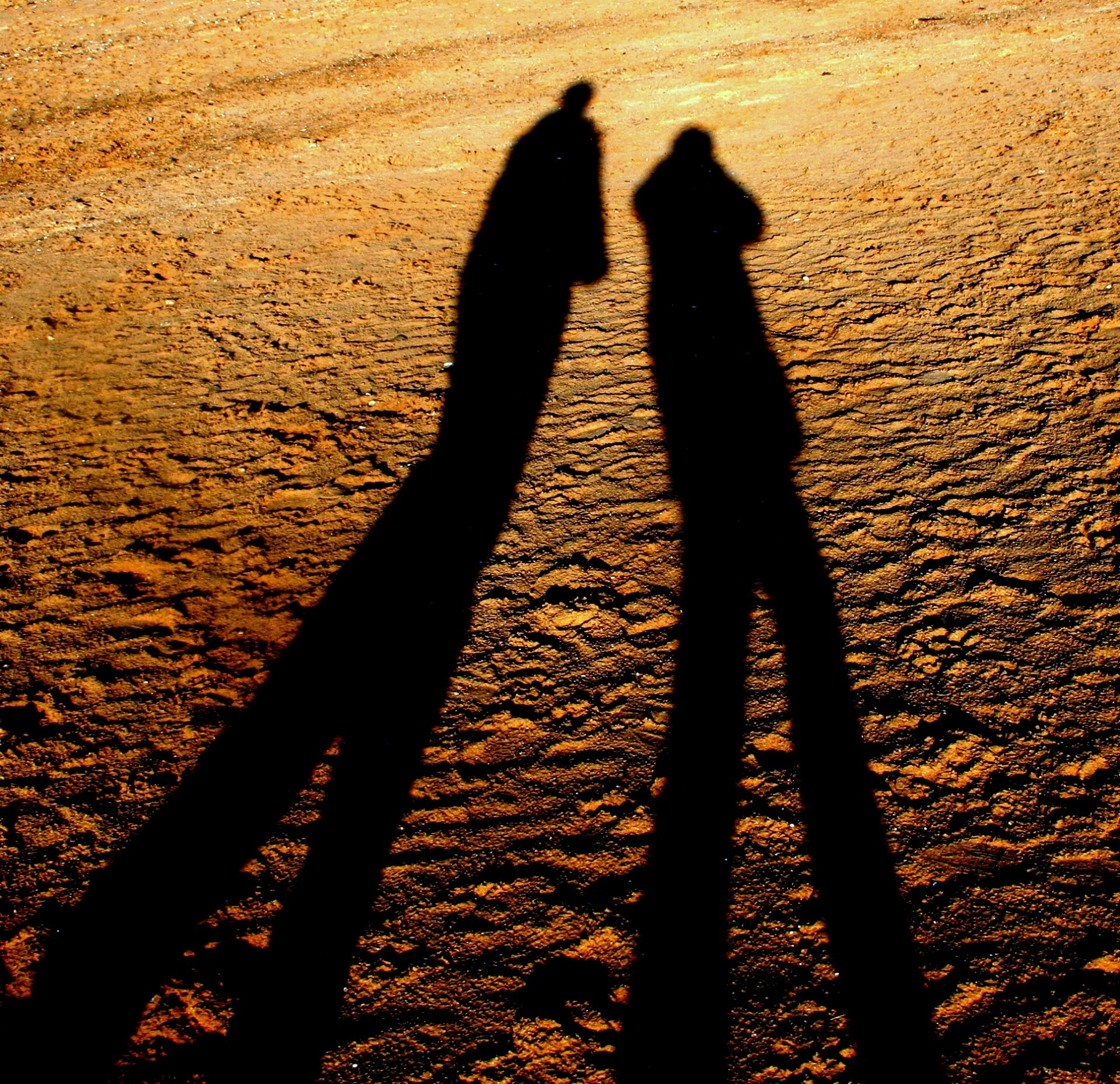 Beach Sunset Shadows free image download