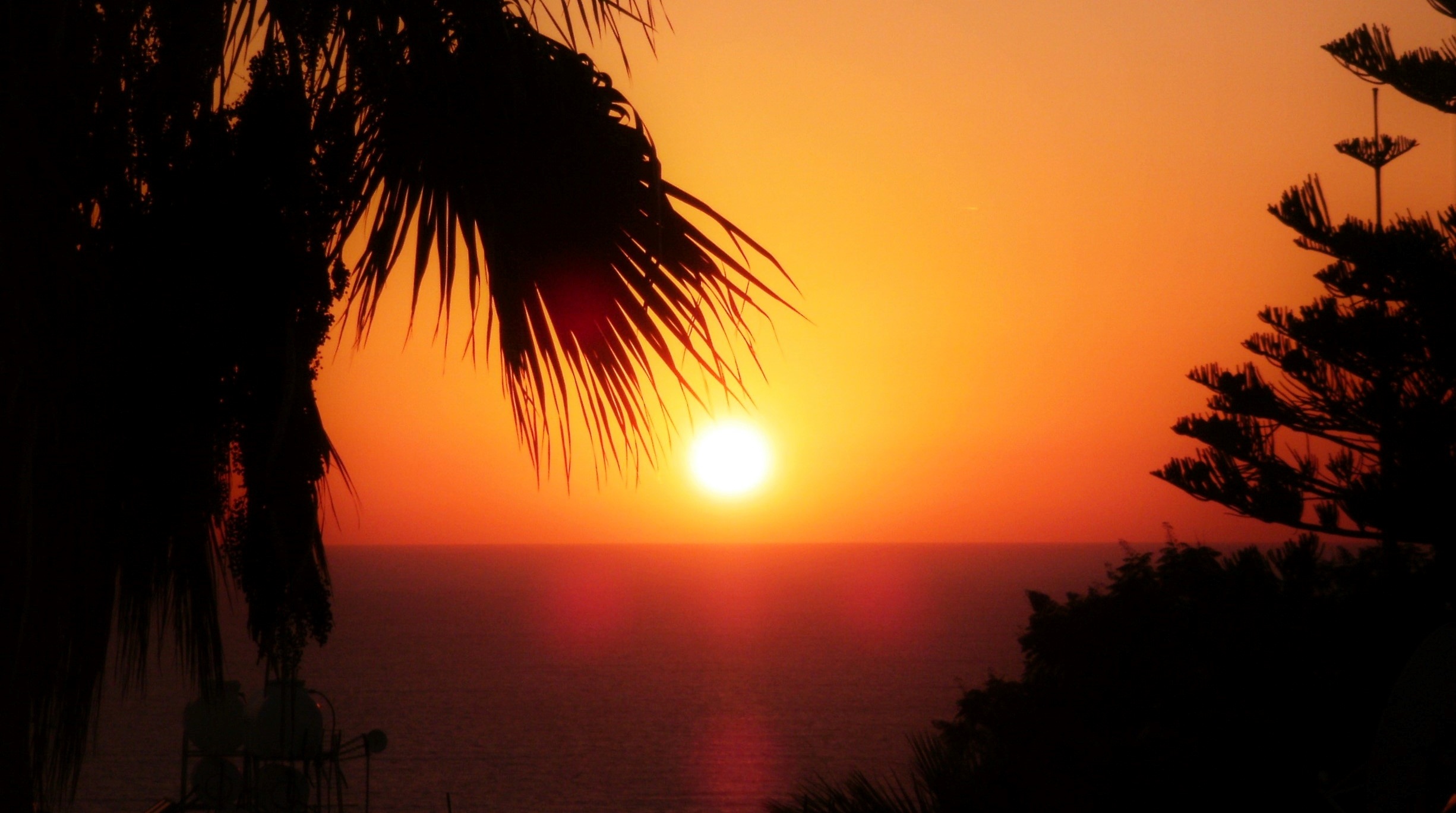 Palm Trees Sunset Cyprus free image download