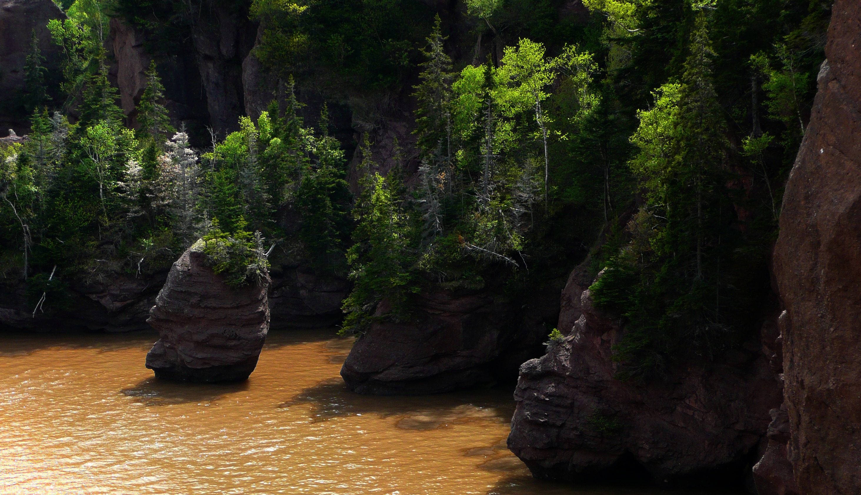 Hopewell Rocks Provincial Park, Canada free image download