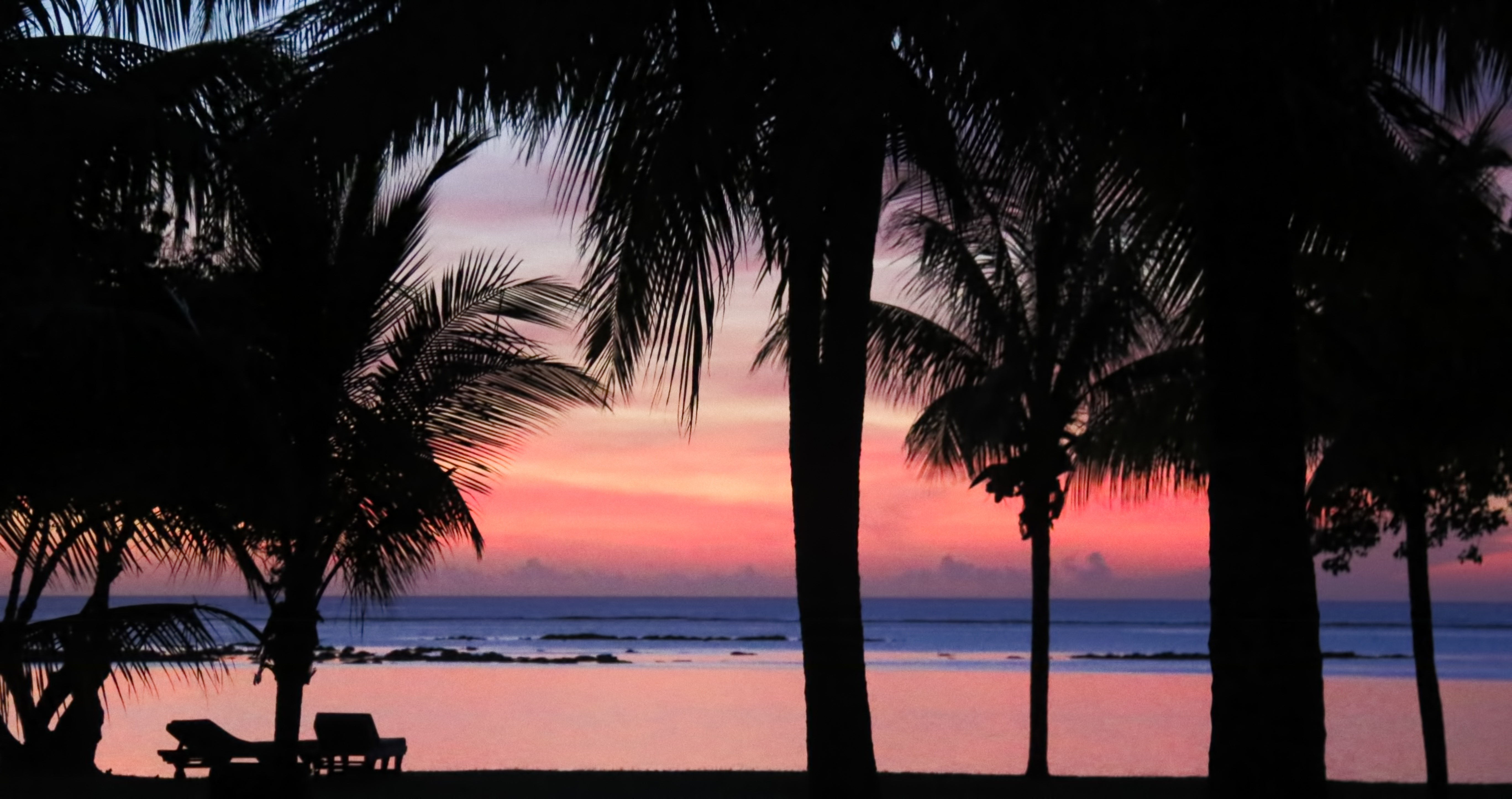 Sunset Palms free image download